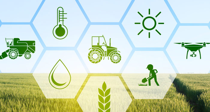B.Sc (AGRICULTURE)